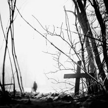 [N a t b] / ***