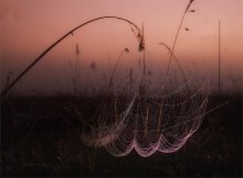 fishing rod (net) / ***