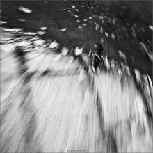 [The T C O] / ***