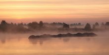 Foggy morning / ***