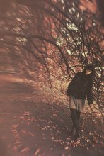 chestnuts ... / ***