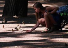 Sparrows / ***
