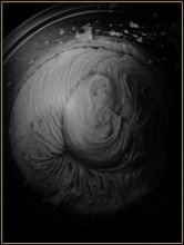 Creation / ***