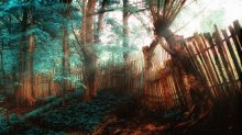 Lost Place / ------