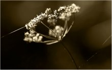 World MACRO (8) / *****
