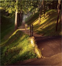 Der Weg zum Fluss / ***