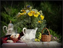 Delicious summer / ***