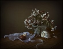 Mit Muscheln ... / ***