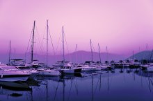 Marina in Tivat - Dawn / ***