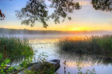 Dawn at the Albertina / ***