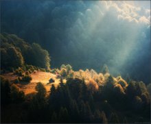 / First rays ... / / ***