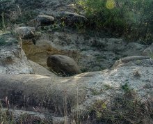 Bizarre stones / ***