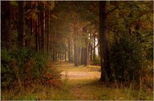 In the early autumn / ***