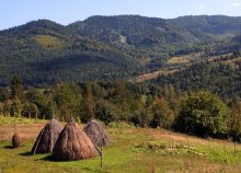 Premonition Carpathians ... / ***