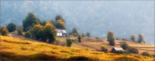 / Die Herbstmorgen ... / / [img]http://i4.imageban.ru/out/2012/09/28/96aaa3258265ae89ecd11101b6dd45fa.jpg[/img]
