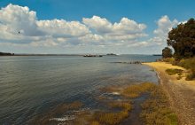 beside the river / ----