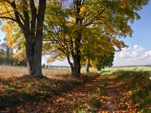 colors of autumn / ***