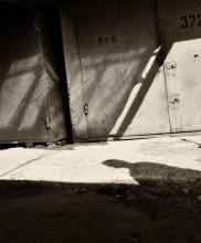 #245 / *****