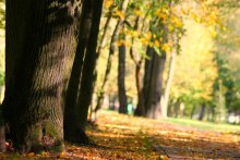 last day of September ....... / ***