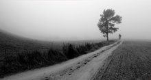 Cyclist / ***