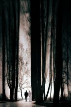 &nbsp; / *******