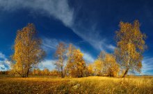 Gold'n'Blue / ***