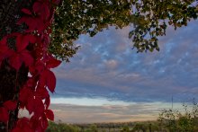 Watercolor autumn / ***