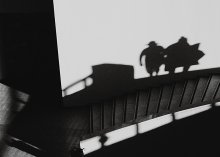 Shadows / ***