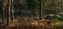 Of morning light / ************