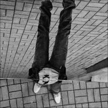 [Yank] / ***