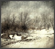 Winter road / ***