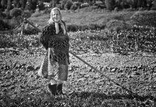 Sowing / ***