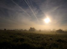 Nebel ...... / ***