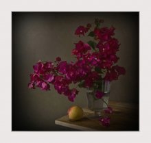 Bouquet of bougainvillea / ^-^