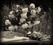 Closed diary / ***