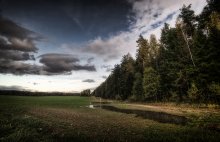 Autumn / ***