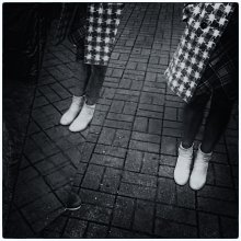 [LNC] / ***