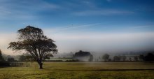 Fog-meadow ... ... / ***