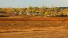 village / titl shift