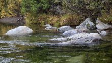 Water and Stones / ***