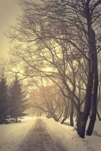 Winter Dreams / *******