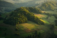 Hills / ***