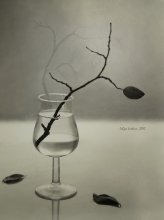 Bleiben Sie mindestens einen Schatten von ... / ................