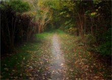 Autumn in the country / ***