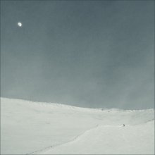 Moonlight / *****