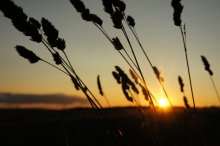 The Simple Idea / ***