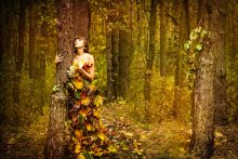 Autumn / ***