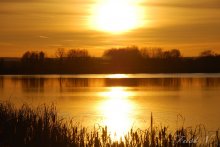 Goldene Weite / ***