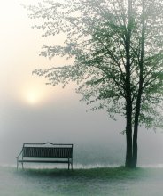 Kiss me at dawn / ***