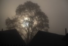 and autumn cold mist .. / ***